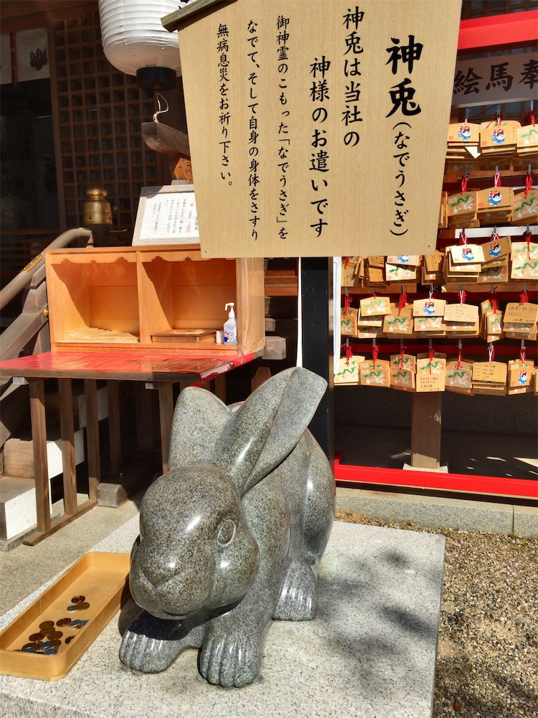 f:id:minghuabj:20220421220140j:image