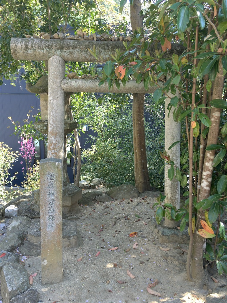 f:id:minghuabj:20220421220445j:image