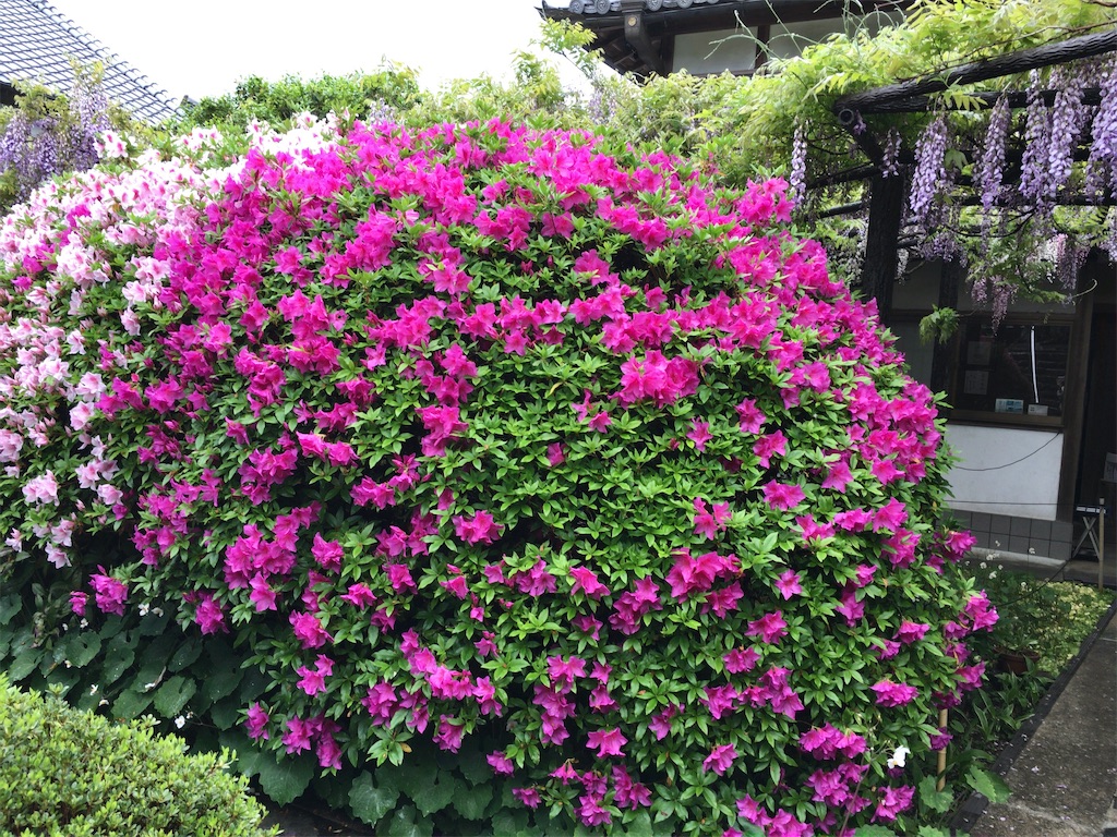 f:id:minghuabj:20220424224946j:image