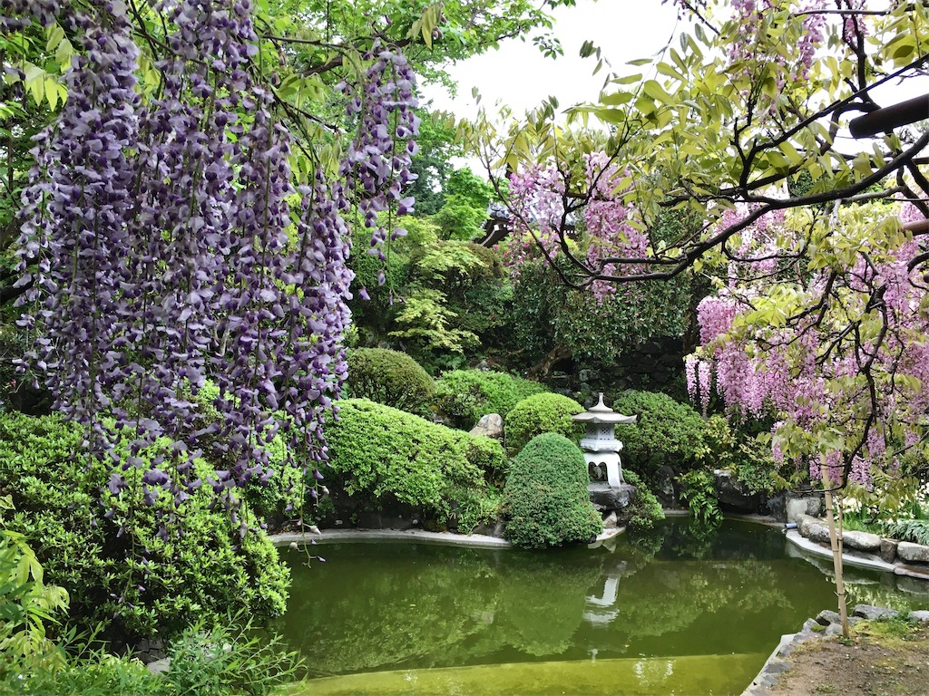 f:id:minghuabj:20220424225021j:image