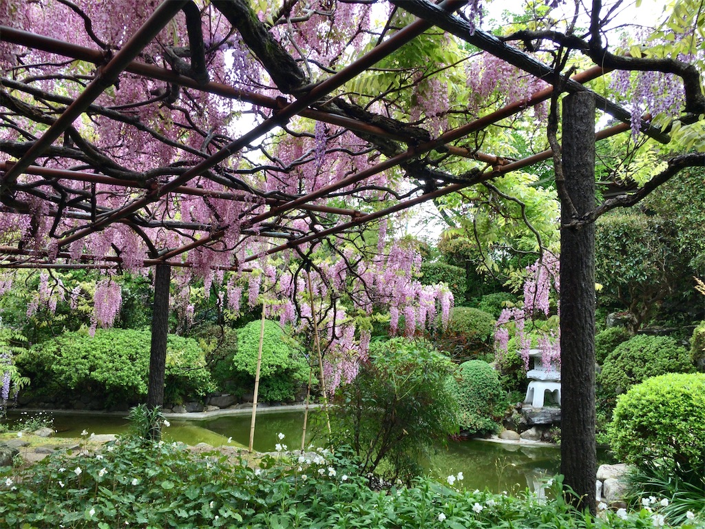 f:id:minghuabj:20220424225113j:image