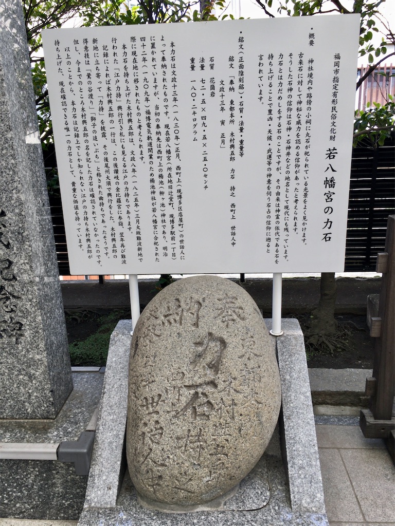 f:id:minghuabj:20220508225559j:image