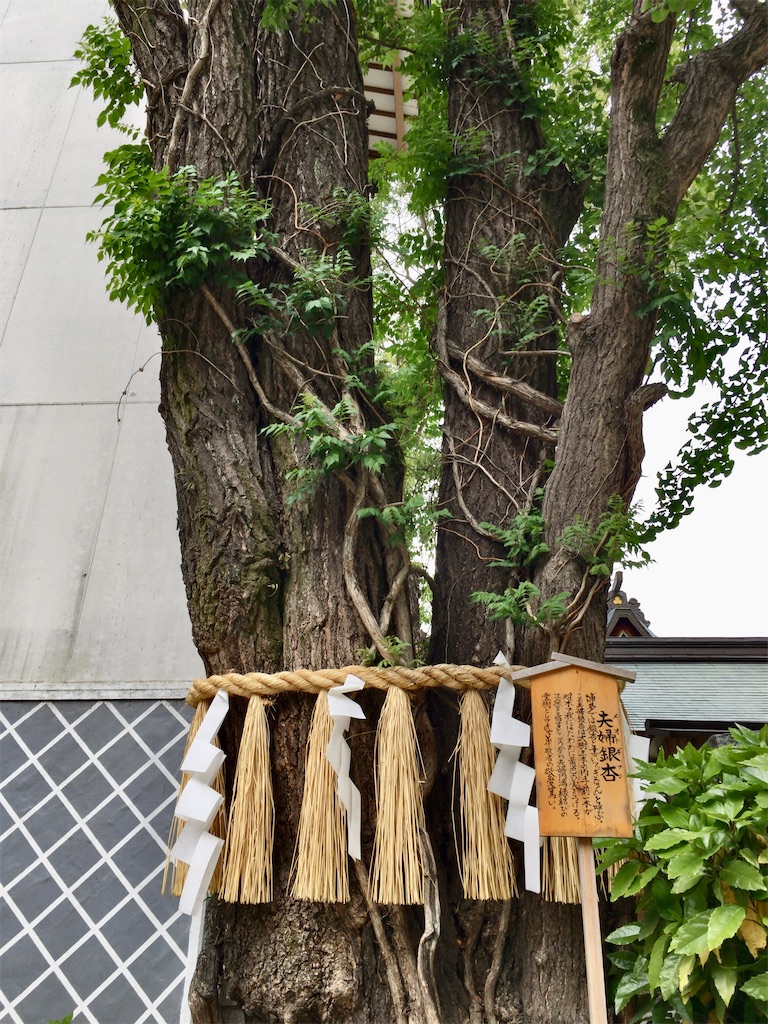 f:id:minghuabj:20220514223901j:image