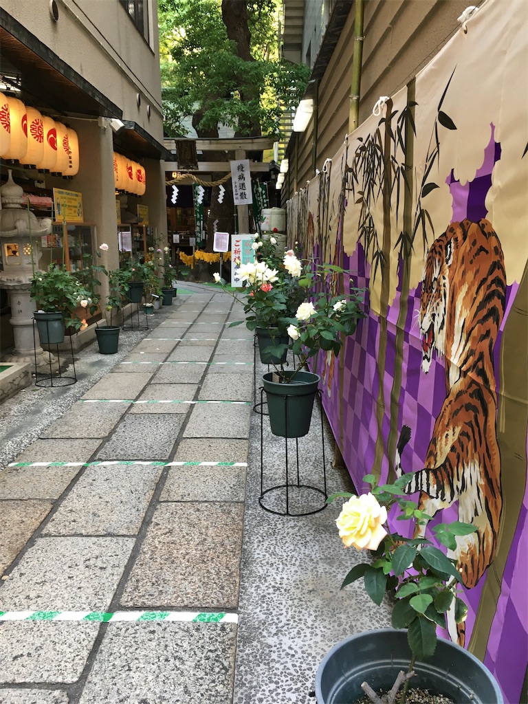 f:id:minghuabj:20220523212626j:image