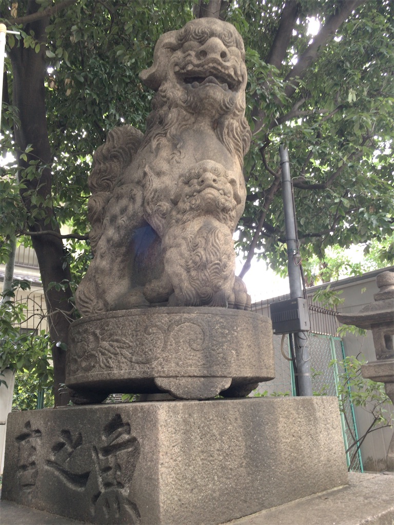 f:id:minghuabj:20220621231840j:image