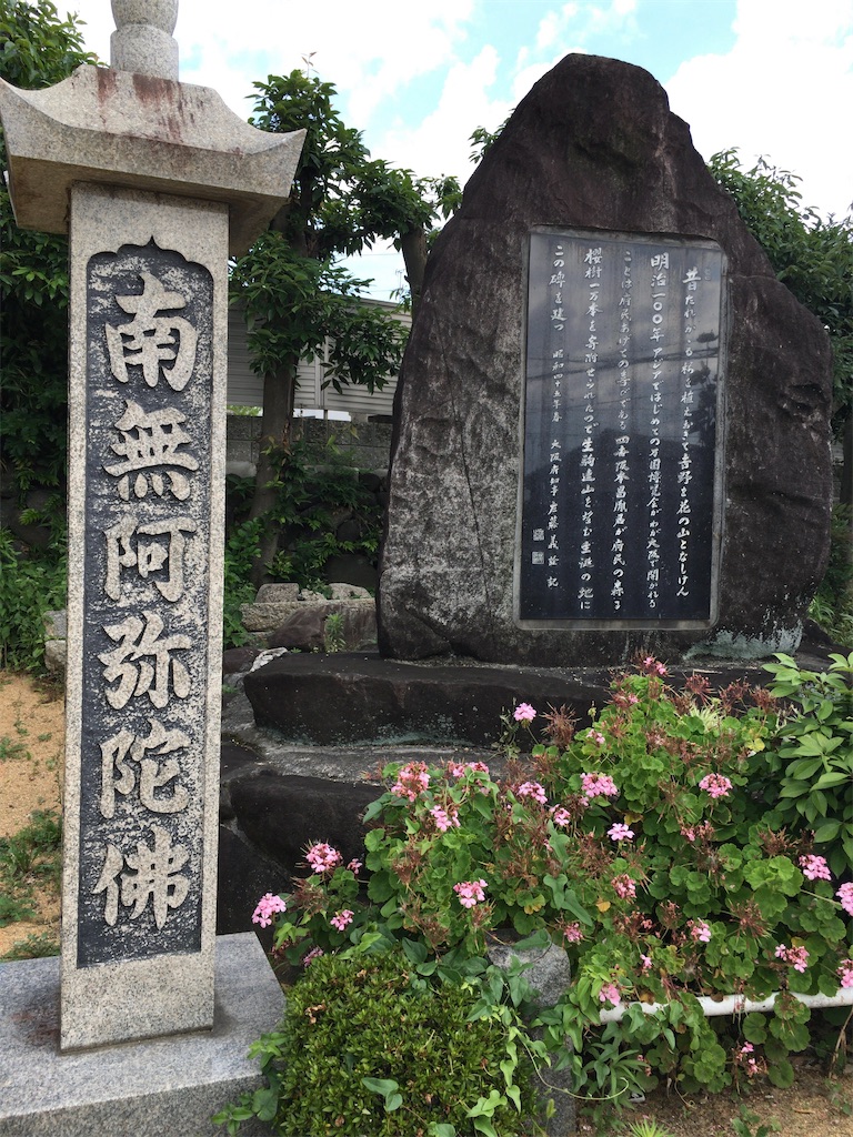 f:id:minghuabj:20220627232813j:image