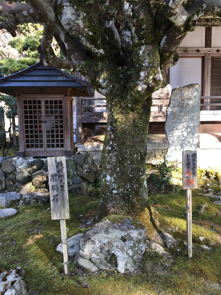 f:id:minghuabj:20220703020104j:image