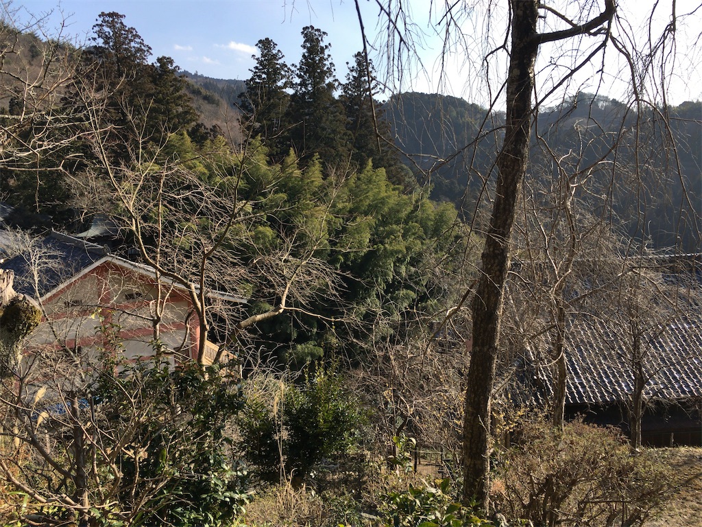 f:id:minghuabj:20220703020318j:image