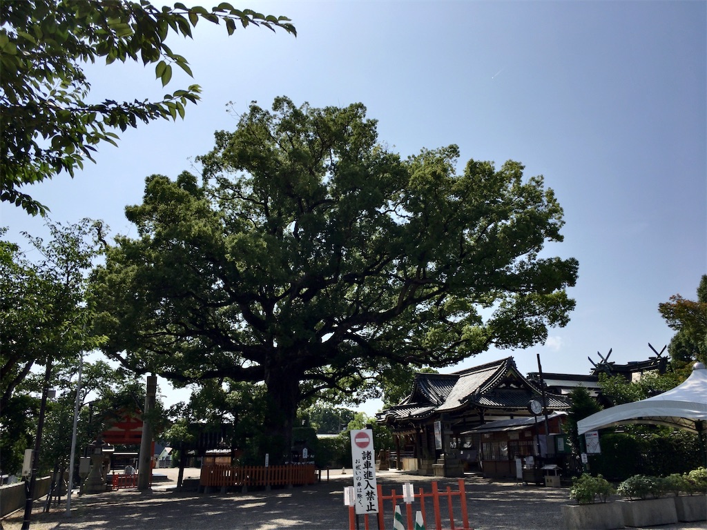 f:id:minghuabj:20220710213428j:image