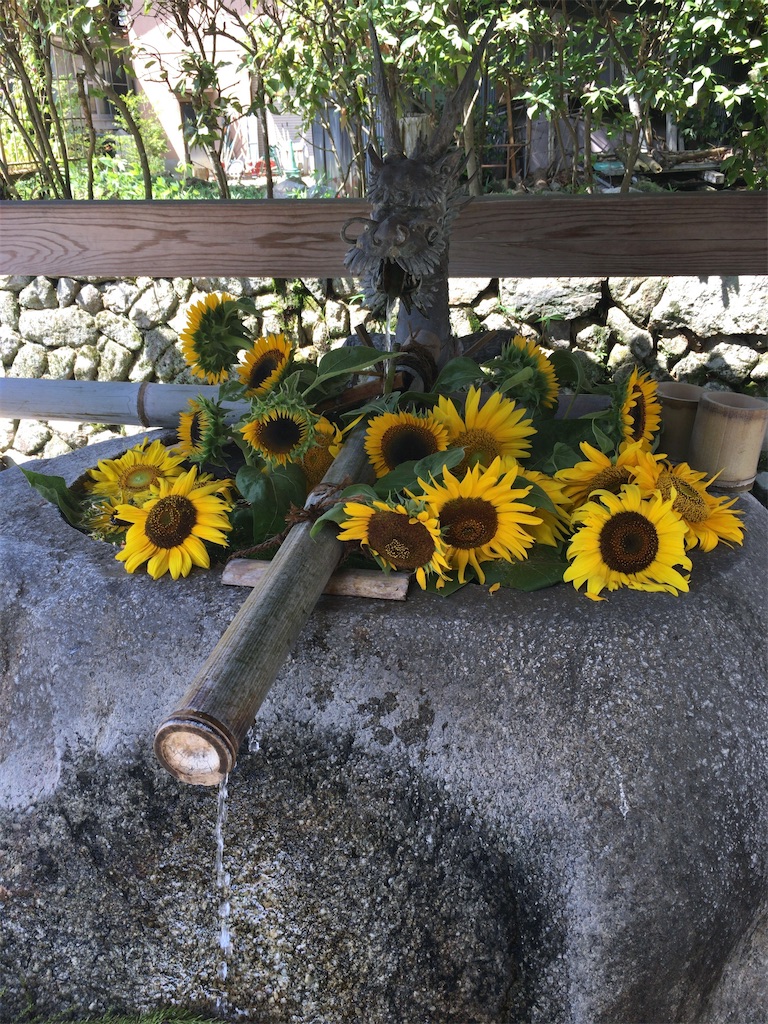 f:id:minghuabj:20220724011629j:image