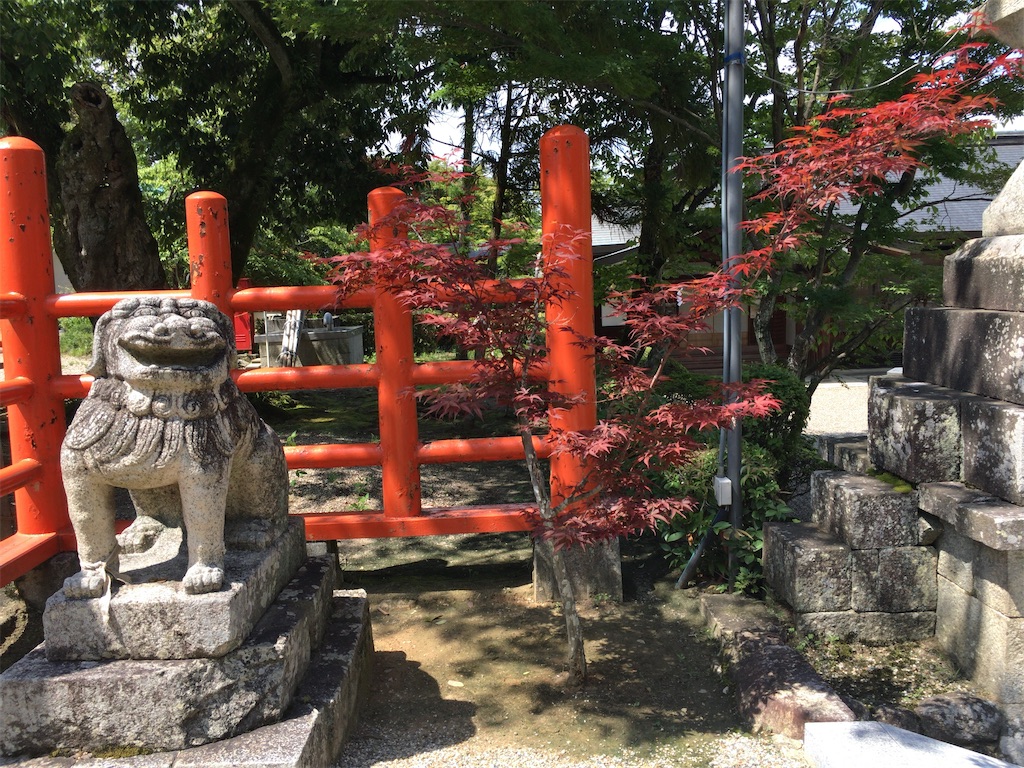 f:id:minghuabj:20220724011801j:image