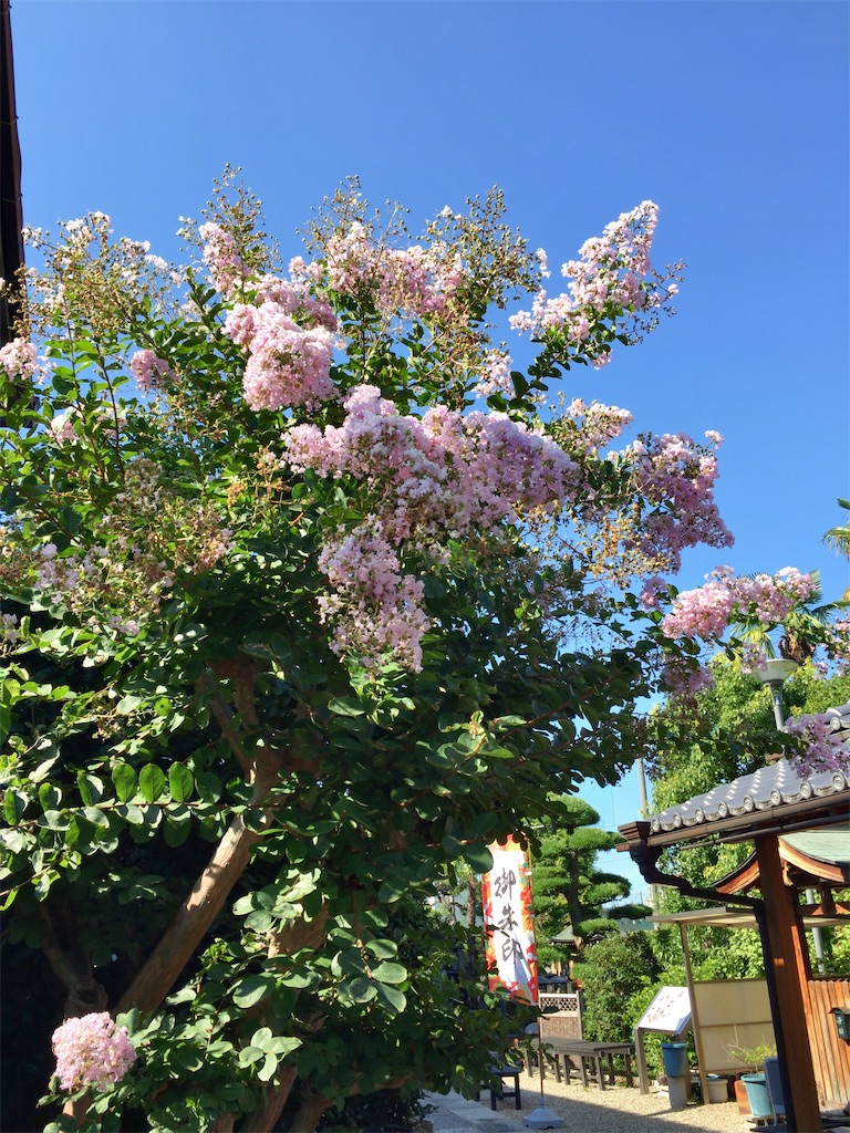 f:id:minghuabj:20220812004743j:image f:id:minghuabj:20220812004743j:image