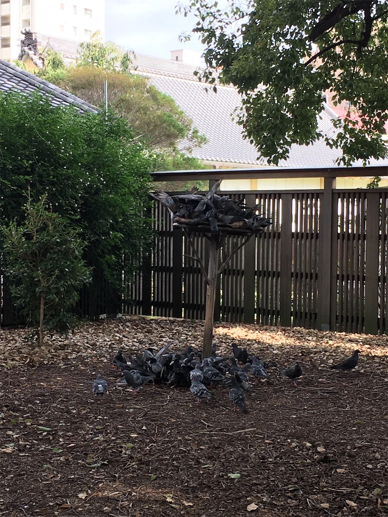 f:id:minghuabj:20220823222538j:image