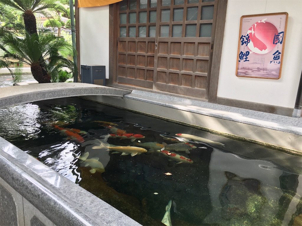 f:id:minghuabj:20220823222548j:image