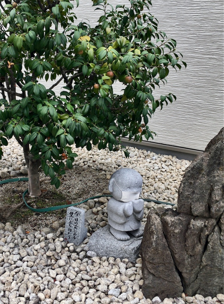 f:id:minghuabj:20220920233955j:image