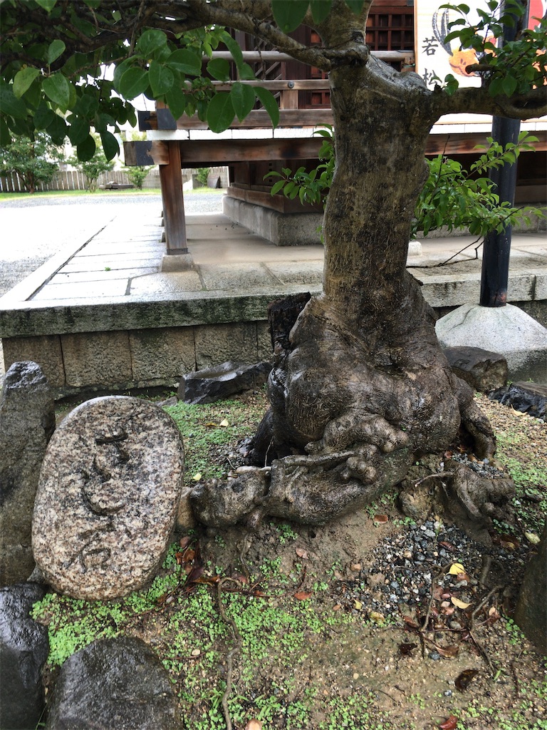 f:id:minghuabj:20221010230357j:image