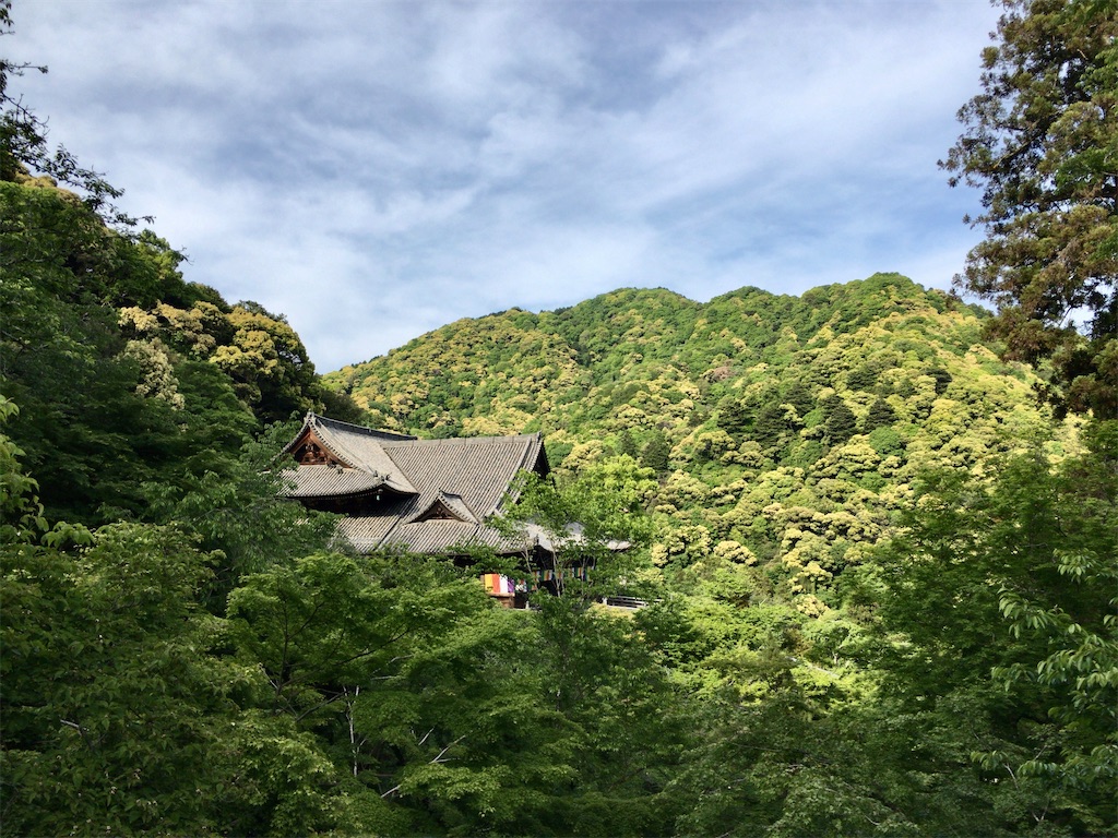 f:id:minghuabj:20221024001333j:image