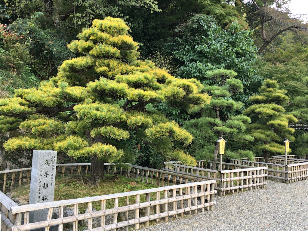 f:id:minghuabj:20221030232733j:image