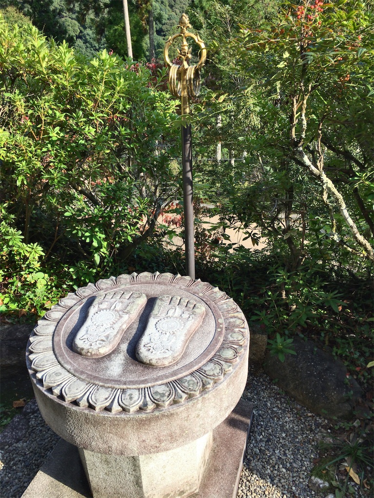 f:id:minghuabj:20221030232856j:image