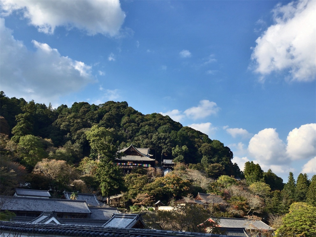 f:id:minghuabj:20221030232908j:image