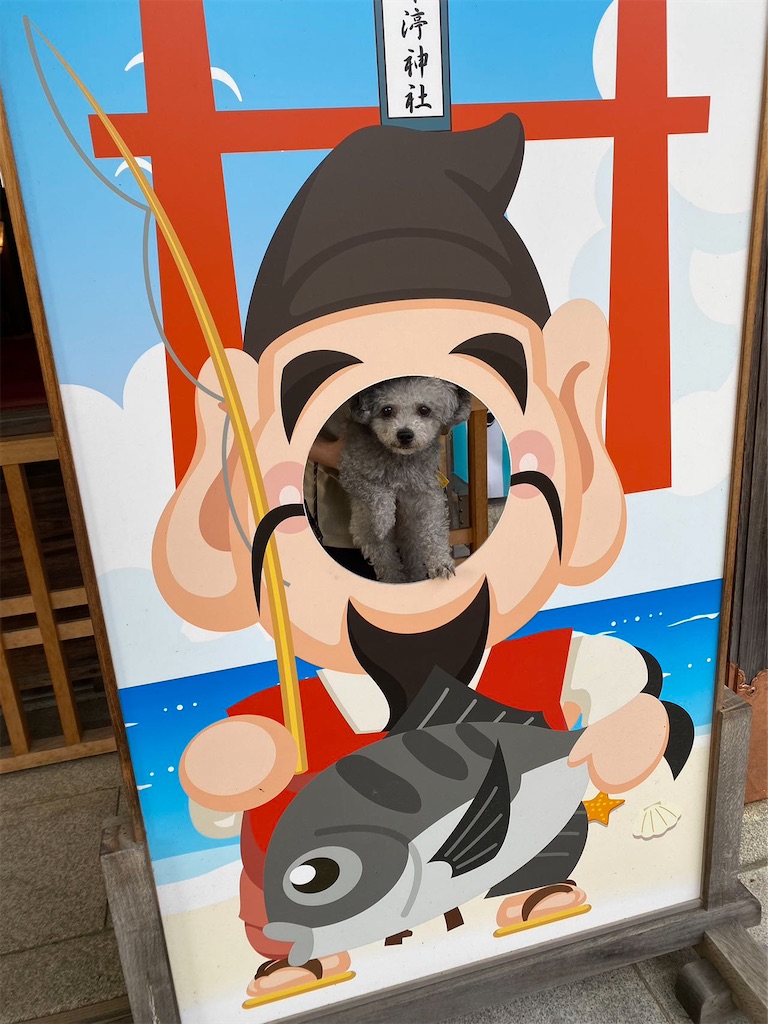 f:id:minghuabj:20230430091104j:image f:id:minghuabj:20230430091104j:image