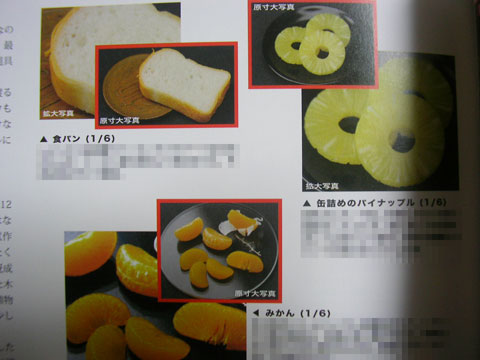 星野志眞子さんの超絶技巧を垣間見る!書評:『パンツァーグラフ! Vol.14』