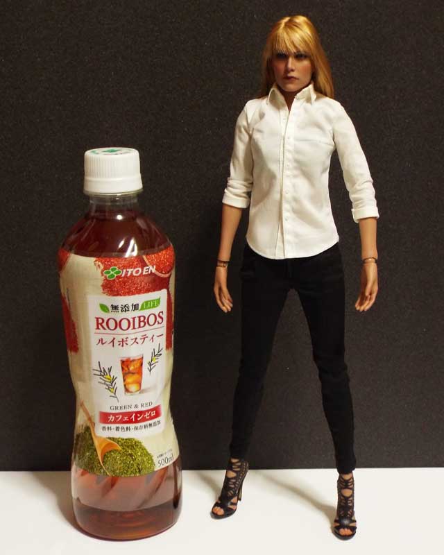 f:id:mini-mono:20170109205329j:plain