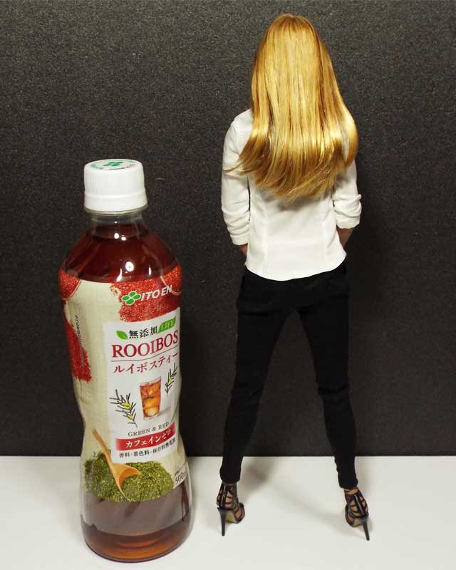 f:id:mini-mono:20170109205350j:plain