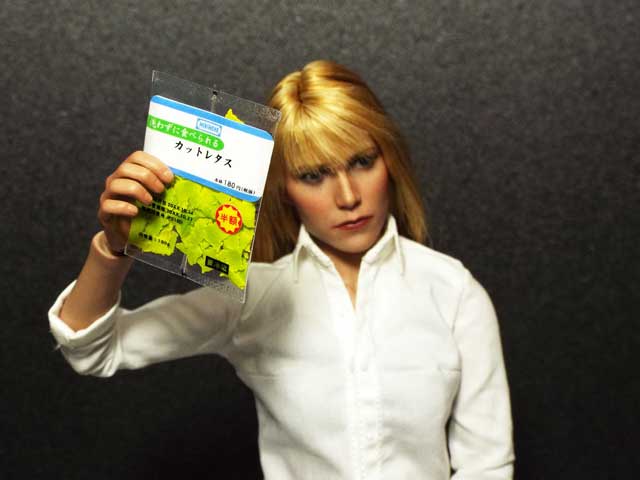 f:id:mini-mono:20170109205531j:plain