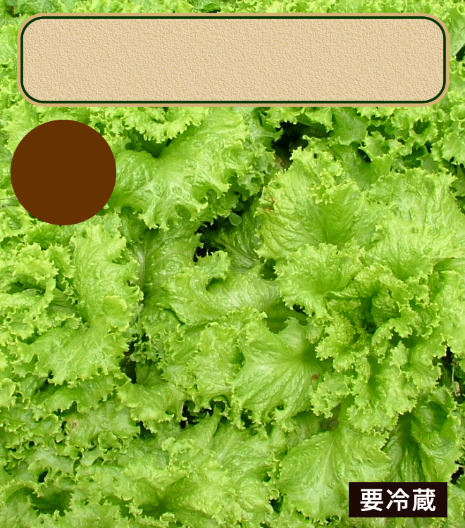 ミニチュアフード】サラダチキンの作り方 - ミニもの（旧）