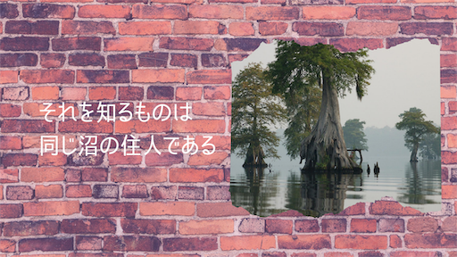 f:id:mini2015:20200729225032p:image