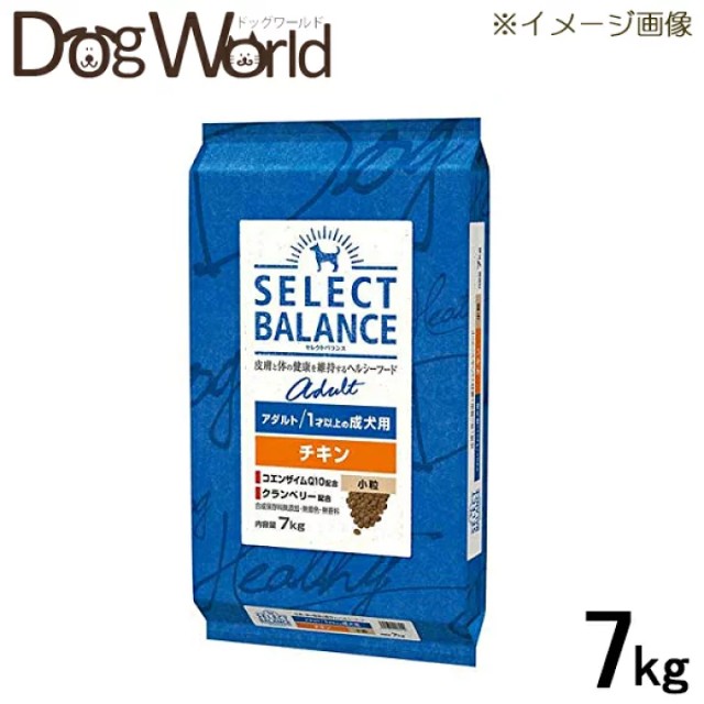 f:id:miniSchnauzer:20200919231309j:image