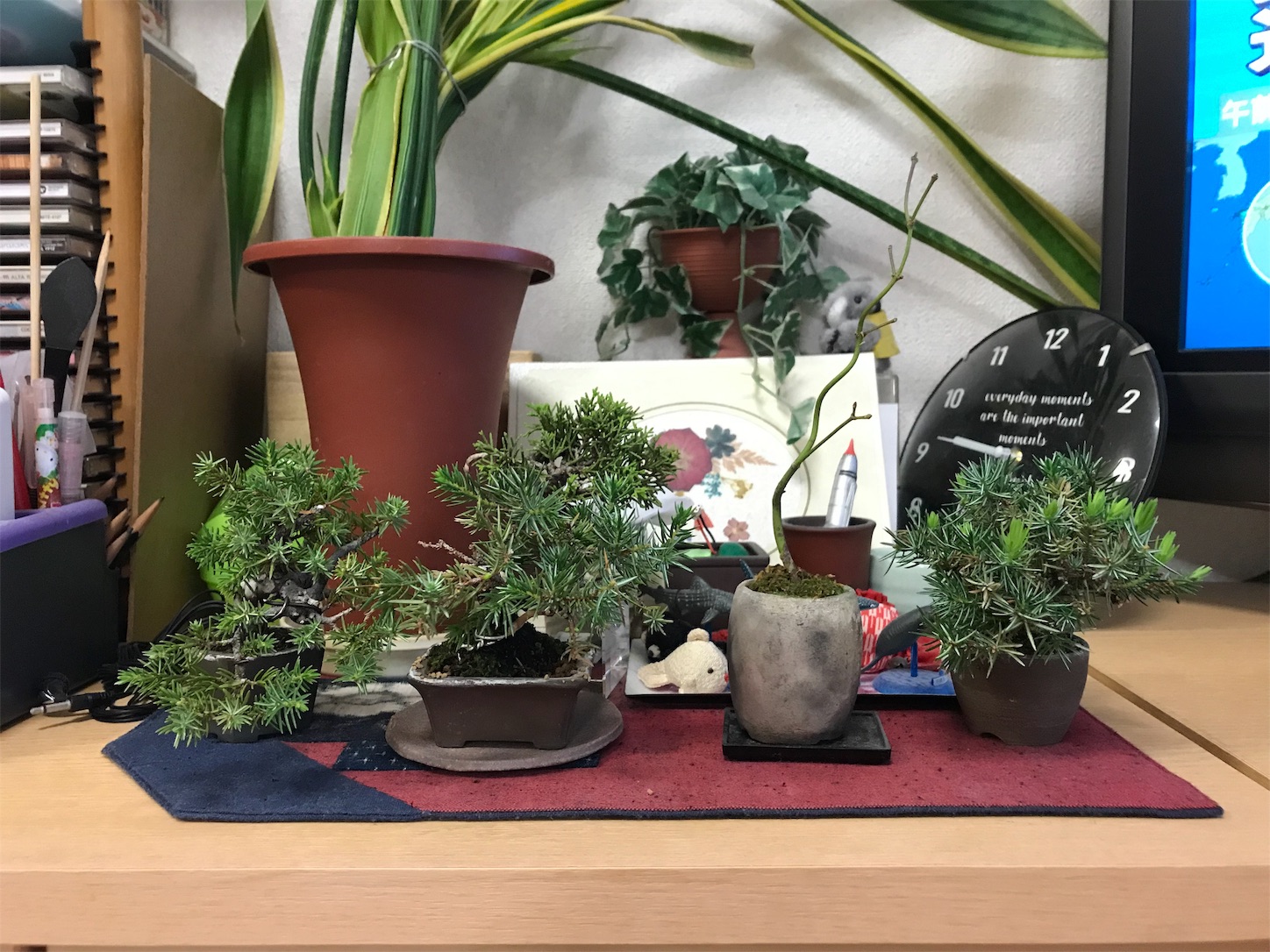 f:id:minibon11:20191013230846j:image f:id:minibon11:20191013230846j:image