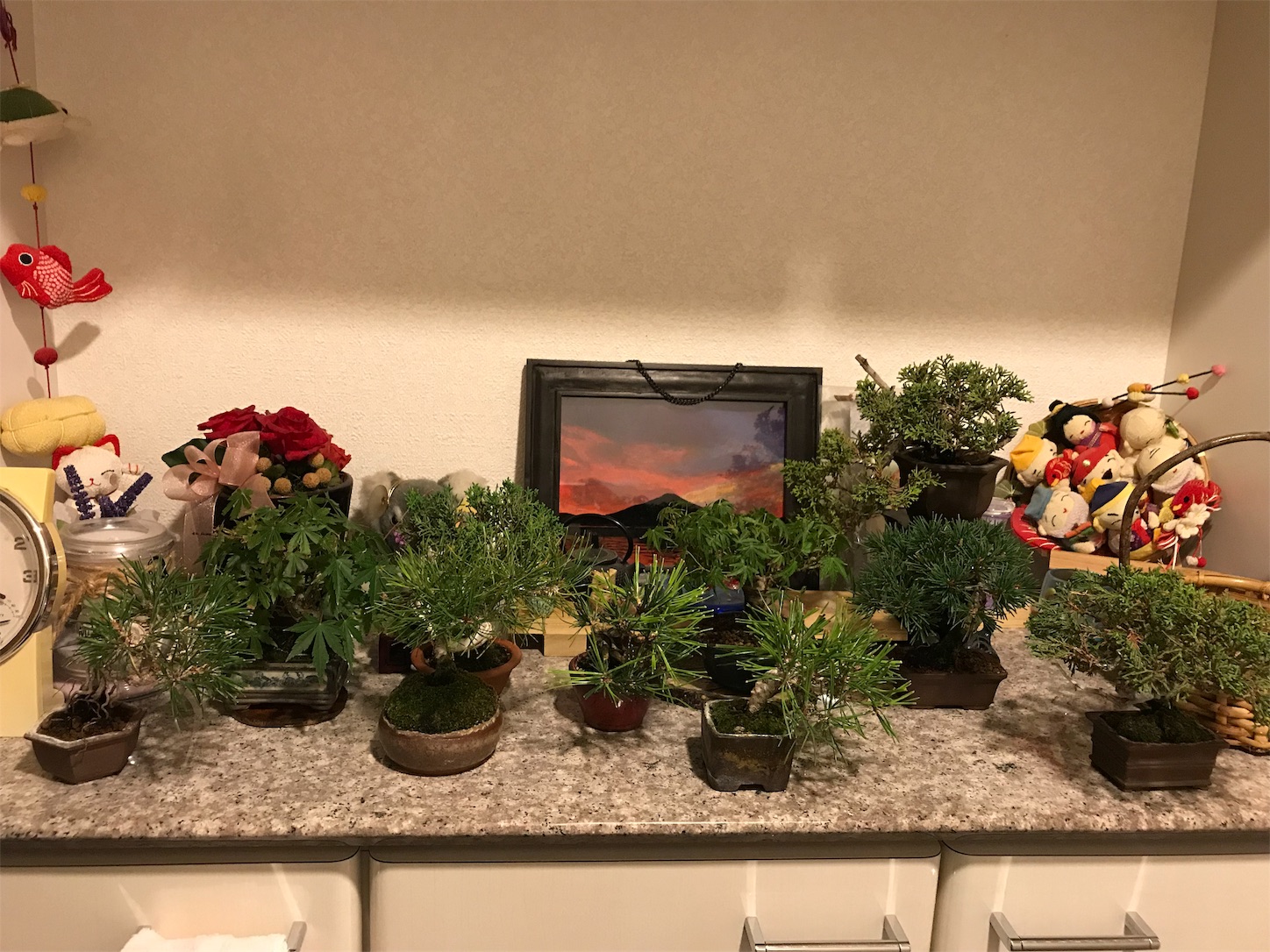 f:id:minibon11:20191013230854j:image f:id:minibon11:20191013230854j:image