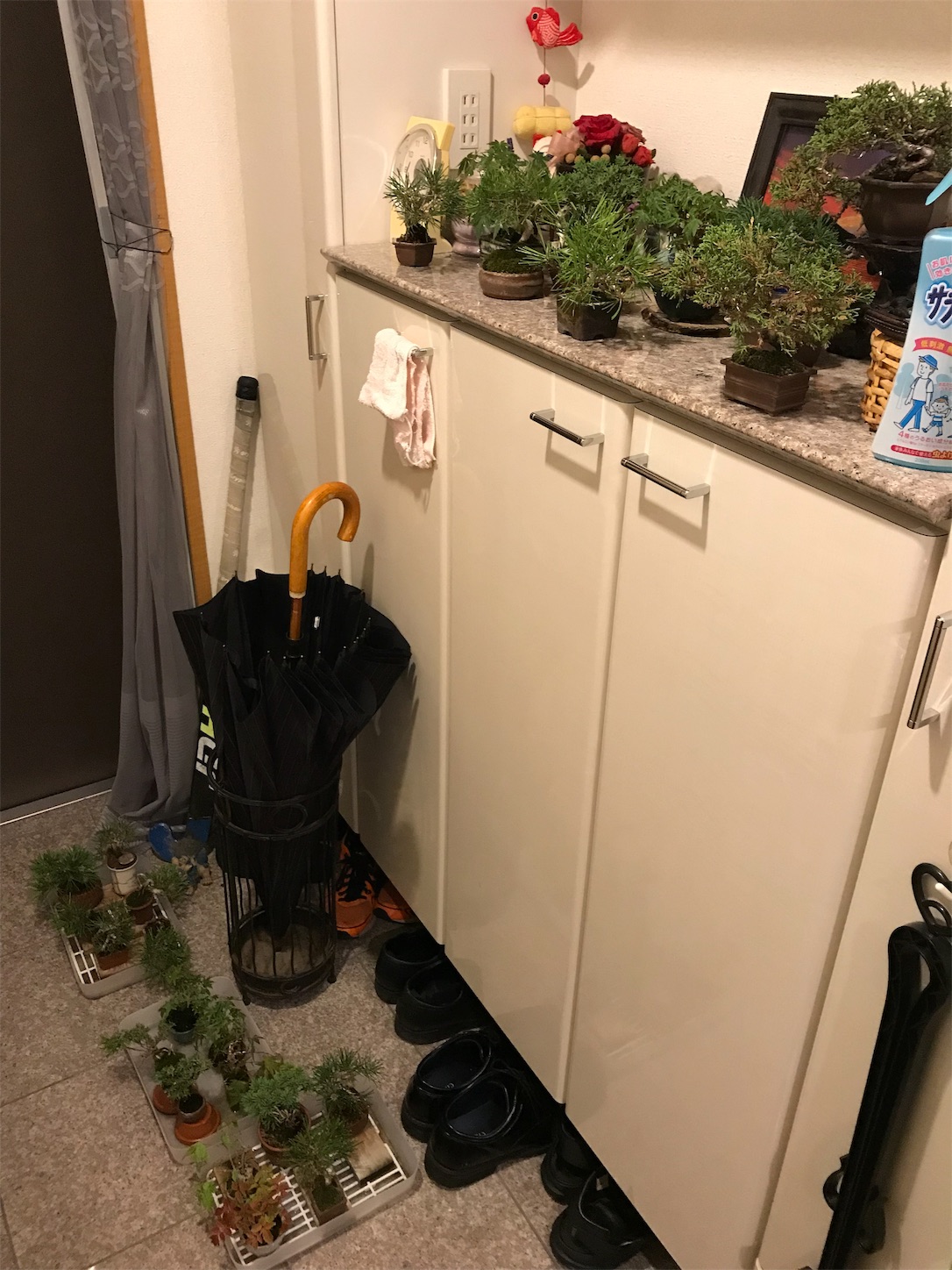 f:id:minibon11:20191013230900j:image f:id:minibon11:20191013230900j:image