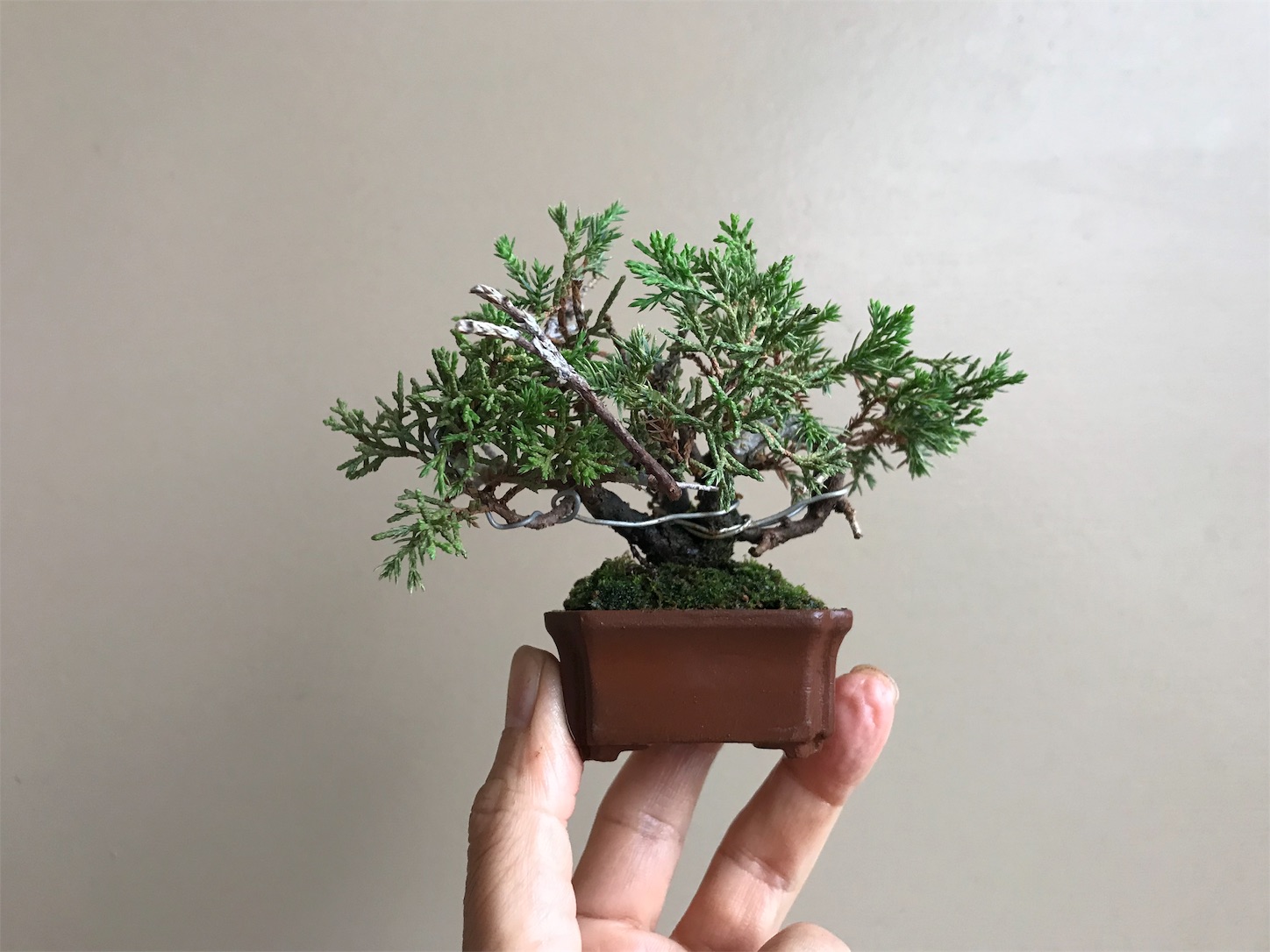 f:id:minibon11:20191019153351j:image