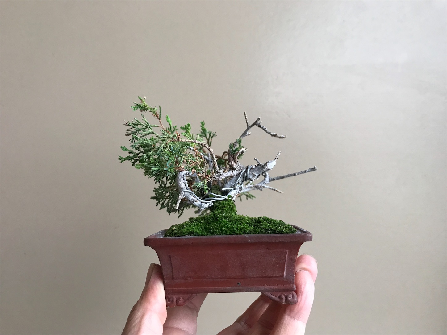 f:id:minibon11:20191019153355j:image