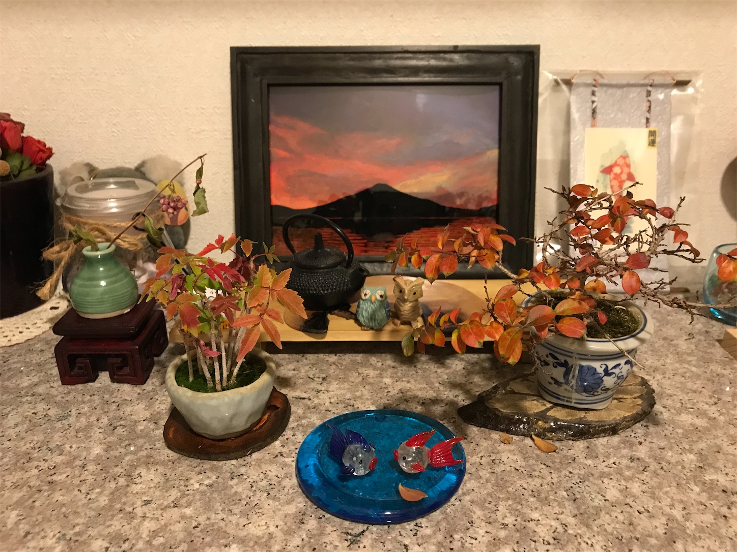 f:id:minibon11:20191121232443j:image