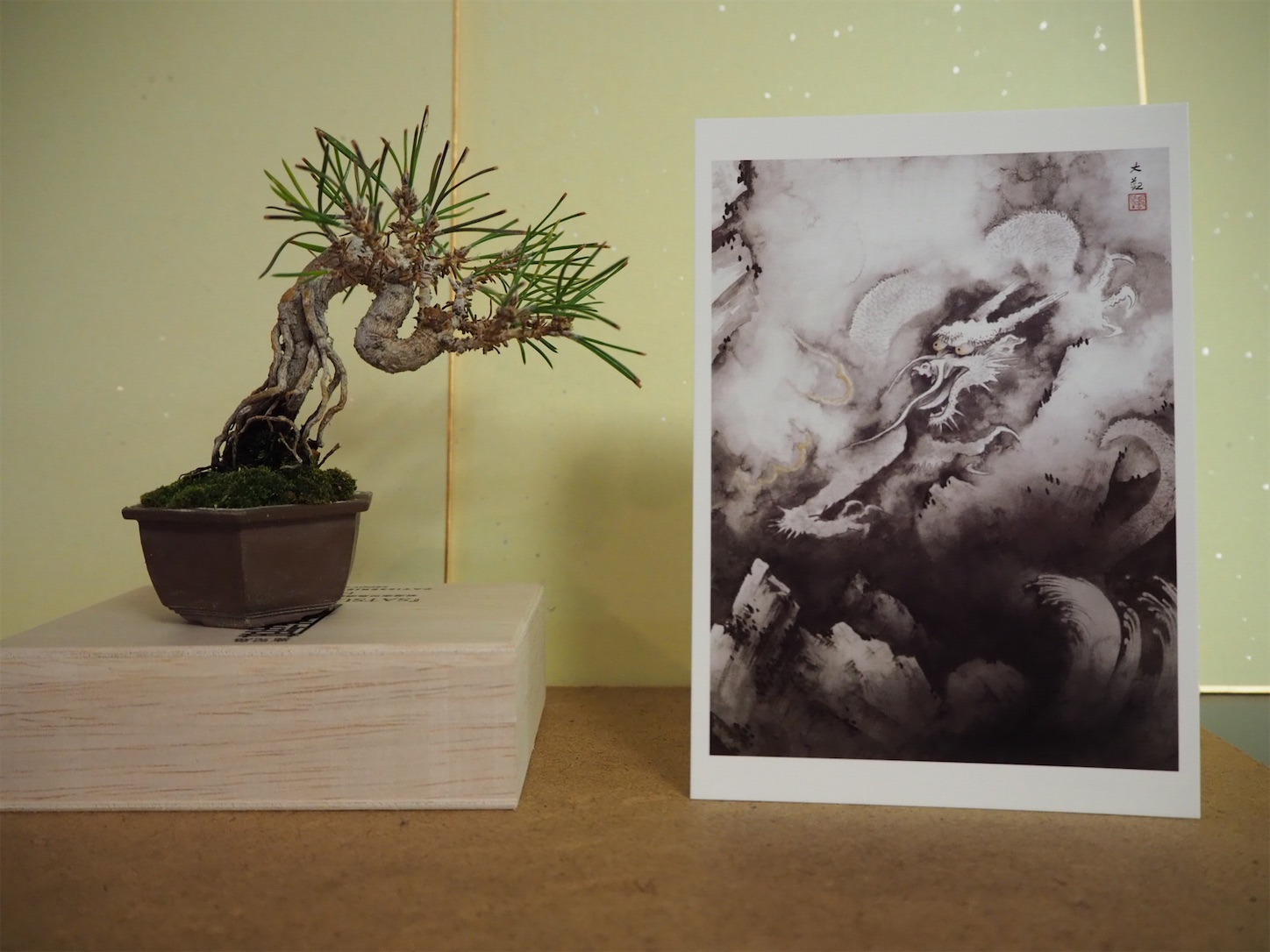 f:id:minibon11:20200104185424j:image f:id:minibon11:20200104185424j:image