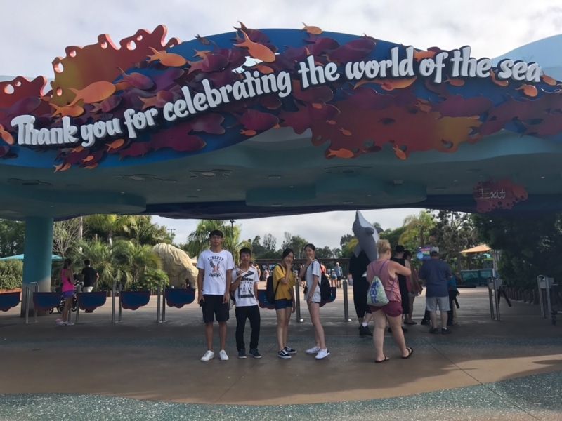 f:id:minicocohith:20171017172450j:plain