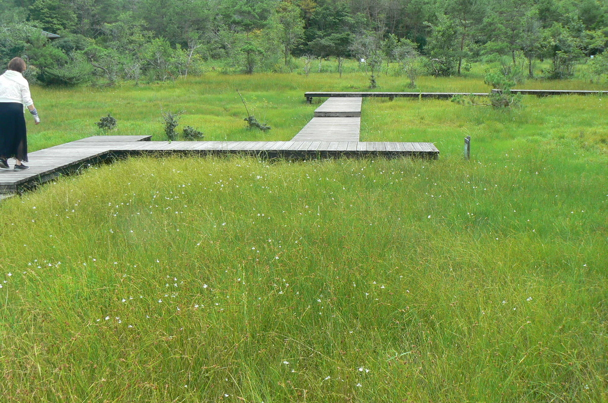 上野森林公園