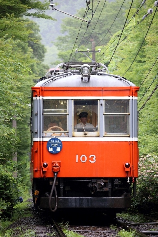 箱根登山鉄道　１００型　車内禁煙板　実物 箱根登山鉄道 100型 車内禁煙板 実物 - メルカリ