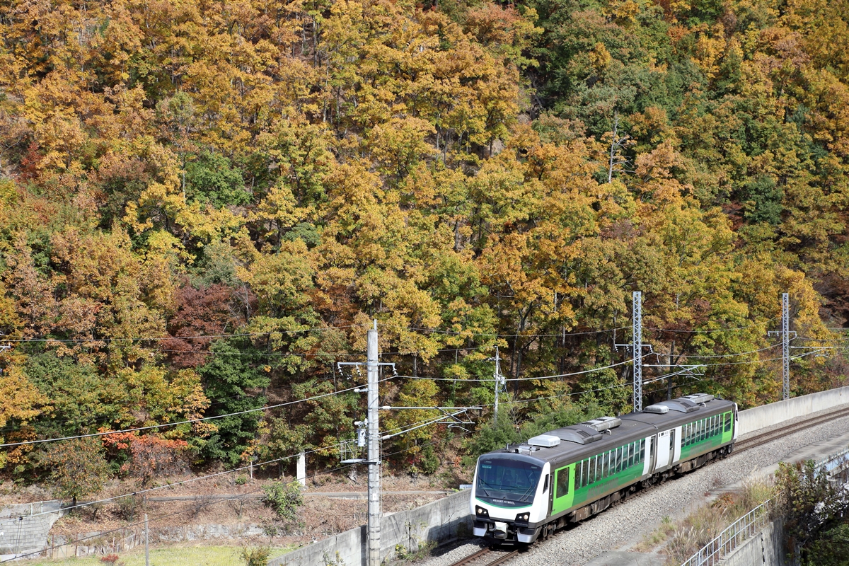 12.森のトンネル 八角トンネル（熊本県美里町）。かつての熊延鉄道廃線跡トンネル