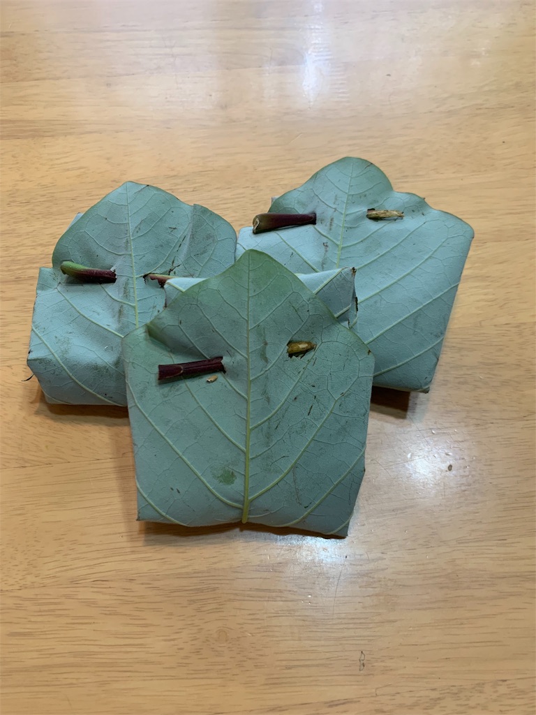 f:id:minijiro:20190601213722j:image f:id:minijiro:20190601213722j:image