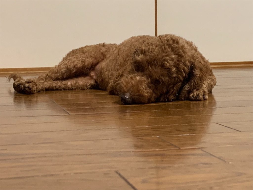 f:id:minijiro:20190817154752j:image f:id:minijiro:20190817154752j:image