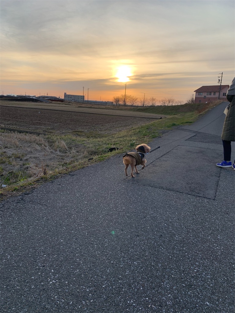 f:id:minijiro:20210227130129j:image f:id:minijiro:20210227130129j:image