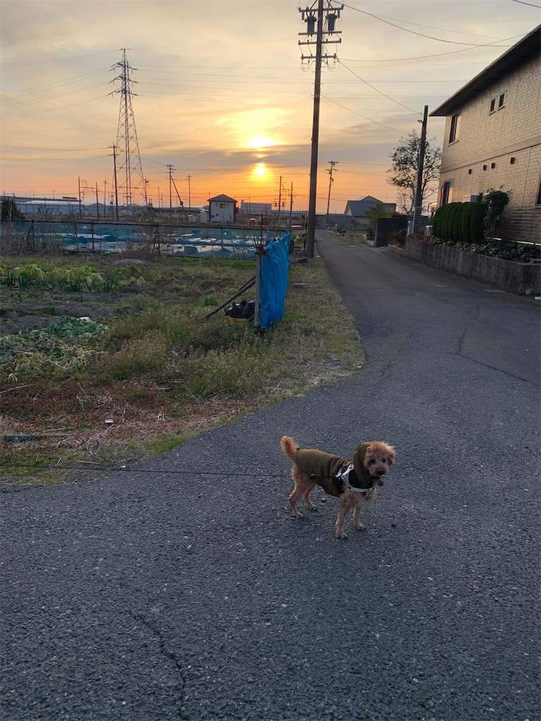 f:id:minijiro:20210227130132j:image f:id:minijiro:20210227130132j:image