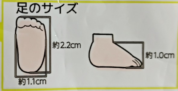 f:id:minikko115:20260108084247j:image