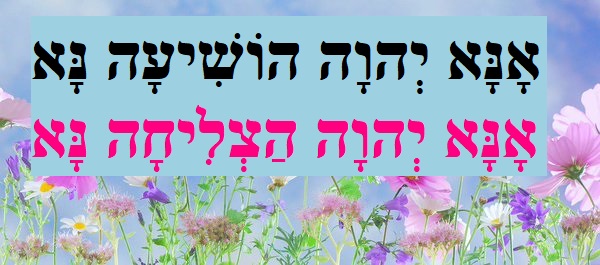 f:id:minikoron:20180421191810j:plain f:id:minikoron:20180421191810j:plain