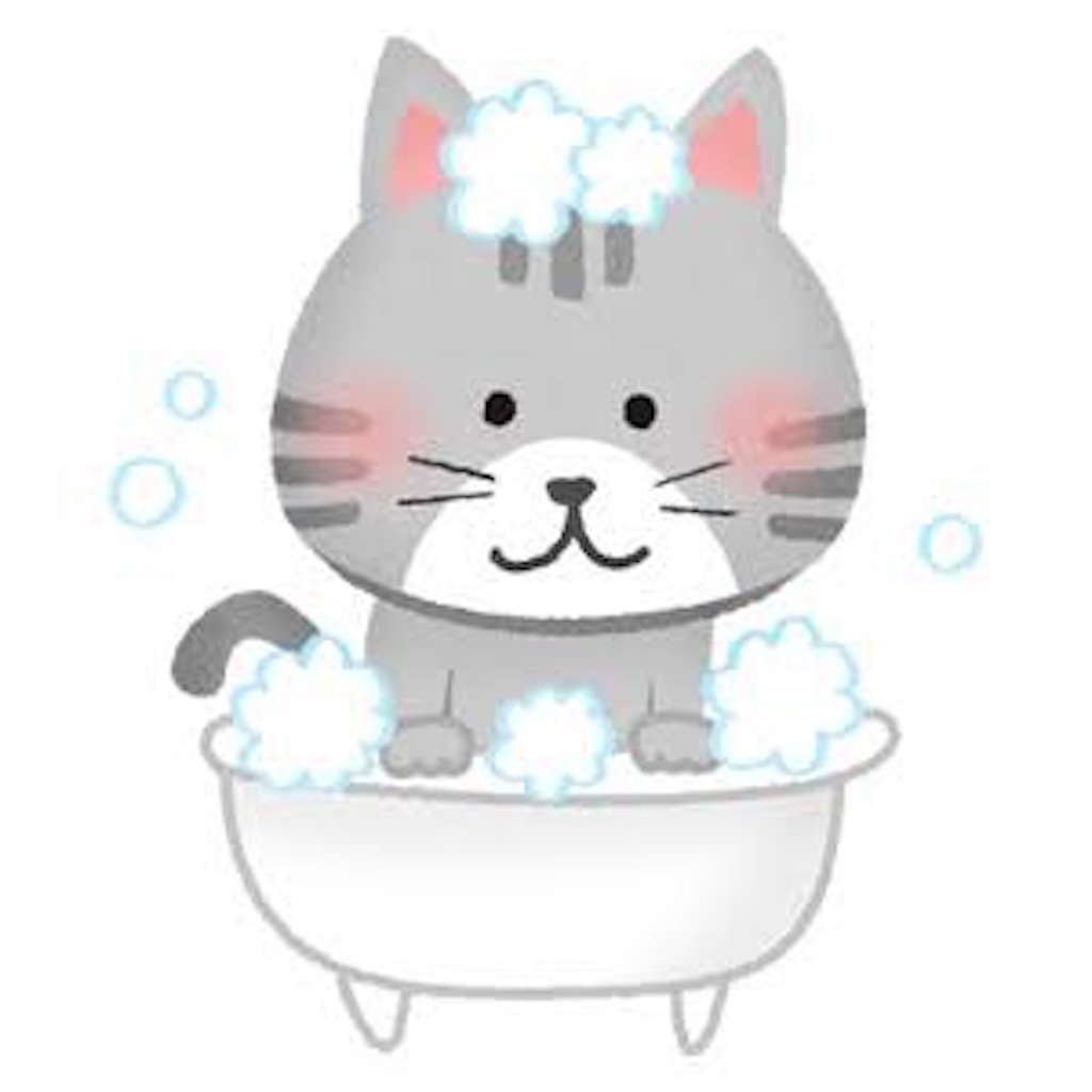 f:id:minim88:20210705110314j:image